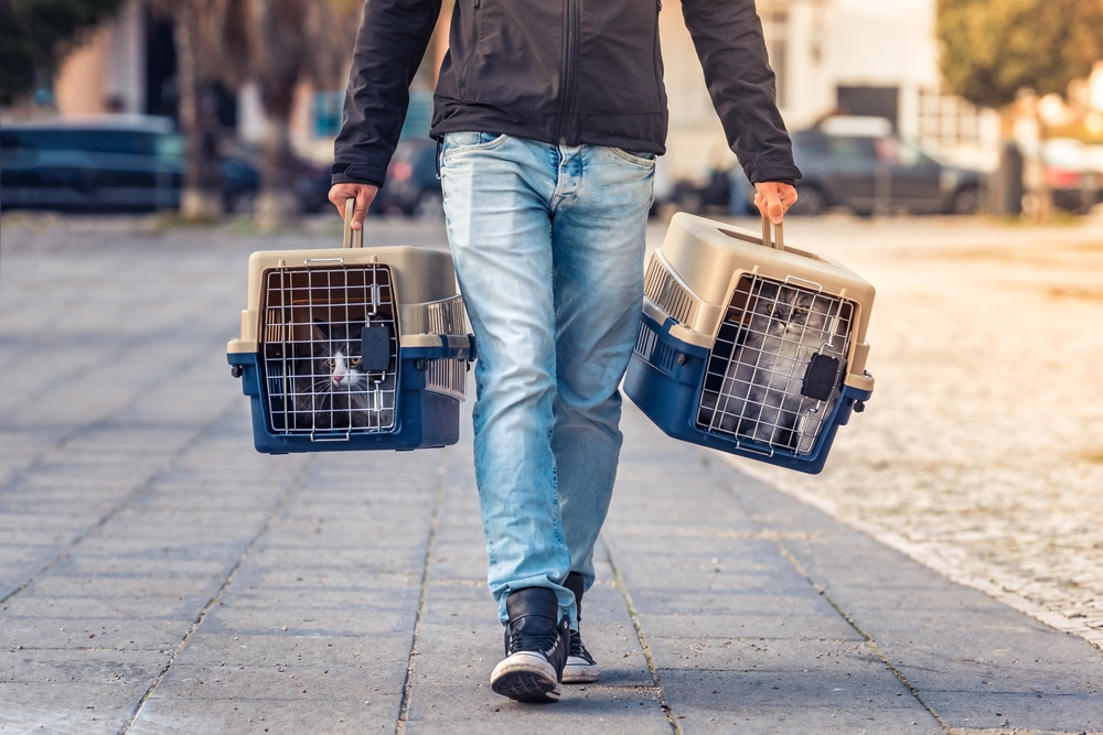 man carrying the cats in pet carriers