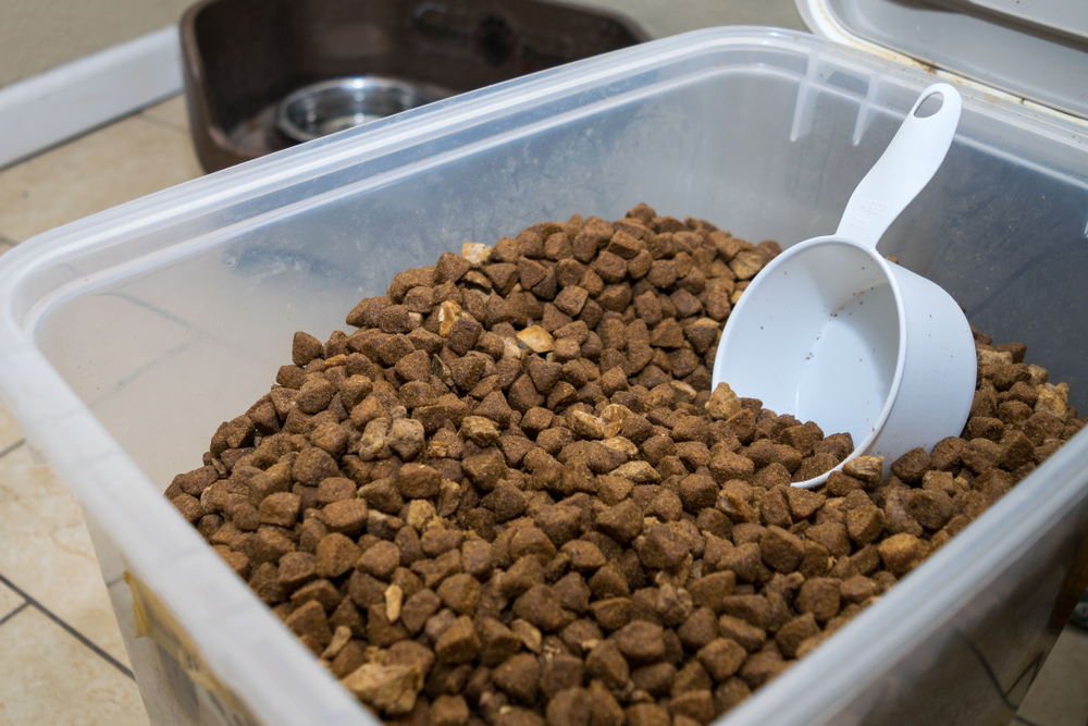 Can I Feed My Canine Retailer-Bought Kibble? Vet-Licensed Weight-reduction plan Data – Dogster