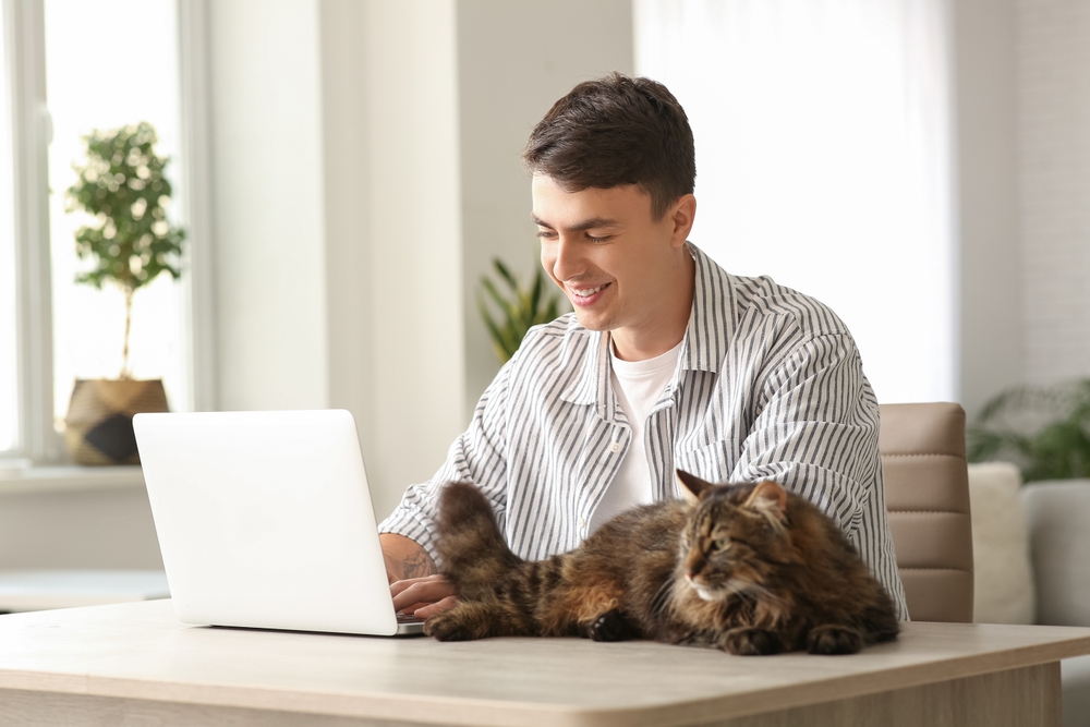 Pet Telehealth: How Does It Work for Your Cat? Vet Accredited Info & FAQ